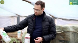 Используемые препараты при выращивании рассады томата