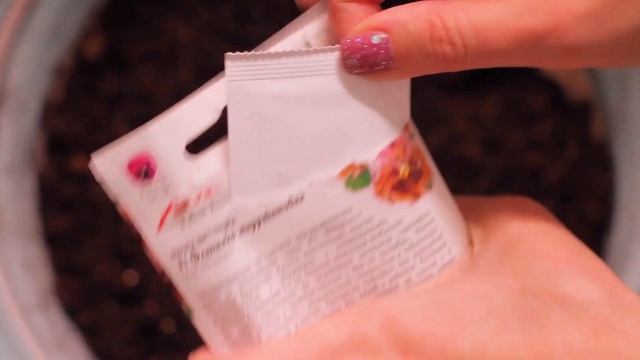 Малоуходная рассада на подоконнике поливать не нужно смотреть онлайн