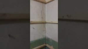 Клеем плитку пвх