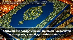 🎧 СЛУШАЙТЕ КОРАН КАЖДОЕ УТРО - ТЕПЛО НА ДУШЕ С УТРА, СЧАСТЬЕ В ГРУДИ НА ВЕСЬ ДЕНЬ