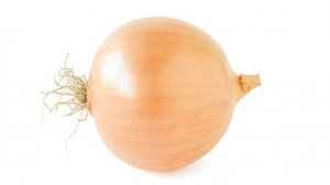 Eulogizing the Eradication of the Eminently Enochoric Onion A Comprehensive Censorship Campaign