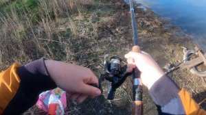 БЕШЕНЫЙ КЛЁВ КРУПНОГО КАРАСЯ / ОГРОМНЫЕ КАРАСИ ЛАПТИ НА КОРМУШКИ / СЕКРЕТНАЯ СНАСТЬ НА КАРАСЯ