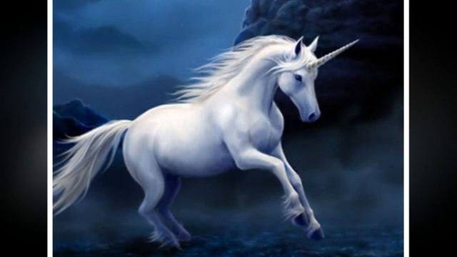 Тотемные животные знаков зодиака! смотреть онлайн