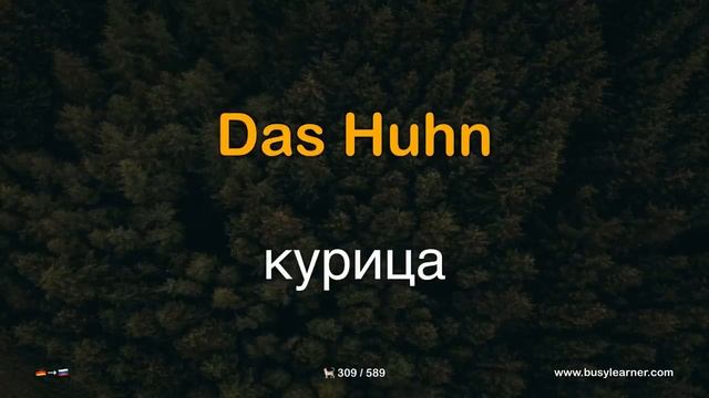 Полезные немецкие слова и фразы по темам для начинающих. Учим немецкий язык, слушая музыку. (16 тем