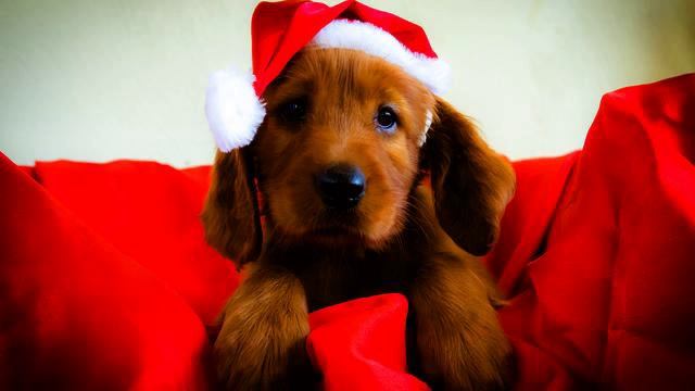 Клевая новогодняя музыка . Хочу праздника! смотреть онлайн