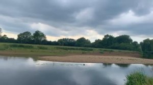 River Fishing Olney Mill - section introduction! (River Great Ouse)