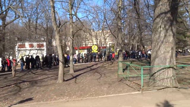 Огромная очередь в харьковский зоопарк 08.03.14. от касс до ККЗ «Украина» смотреть онлайн