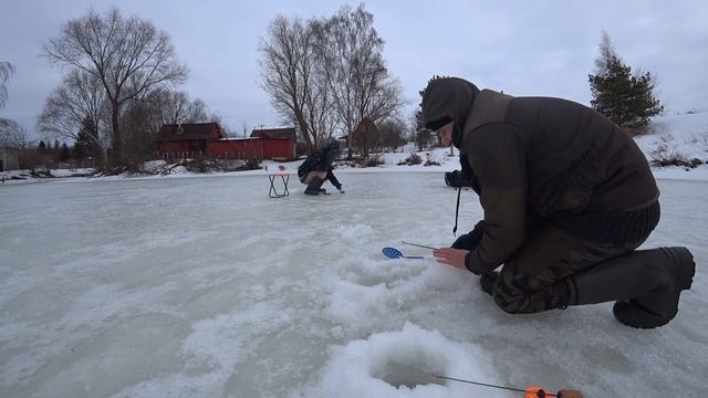 ОКУНЬ НА БЕЗМОТЫЛКУ. ЗИМНЯЯ РЫБАЛКА 2022. Рыбалка в московской области смотреть онлайн
