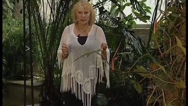 Пробуди в Своем Сердце Ангела смотреть онлайн