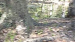 Песня "А любовь стороной прошла".