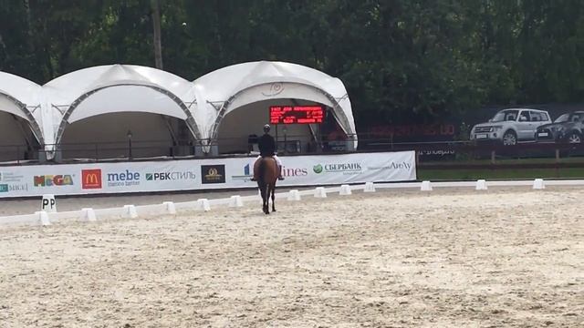 9/07/2017 КСК Белая дача Наташа и Павлинка смотреть онлайн