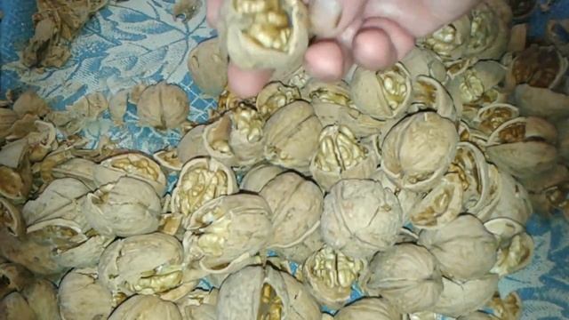 Как правильно колоть орехи. Заработок на орехах. смотреть онлайн