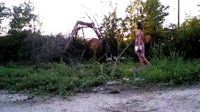 Лошадь проосто ест траву смотреть онлайн