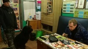 Русский черный терьер защищает хозяина