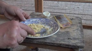 яичный корм для канареек в период выведения птенцов