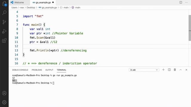 08 | Pointers in Go Lang | Go Tutorial | Go Lang Programming