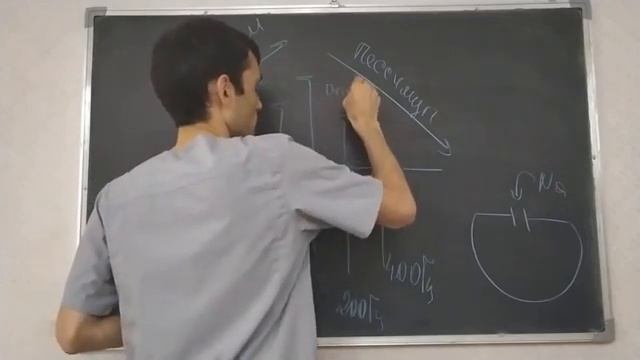 Физиология человека. Тема 8. Лабильность ткани. Парабиоз. Усвоение ритма. Оптимум и пессимум.