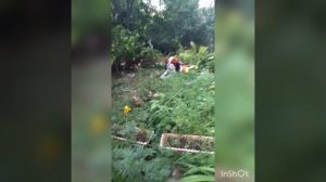 InShot_20220822_191242616.mp4