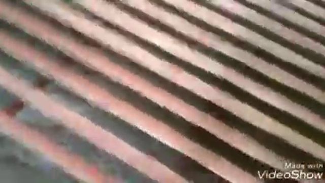 Montando orquidário смотреть онлайн