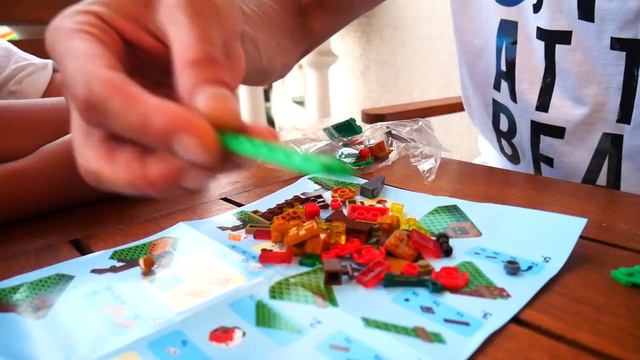 Minecraft Lego /  LEGO Toys / Лего НУбик Собираем Лего Майнкрфт
