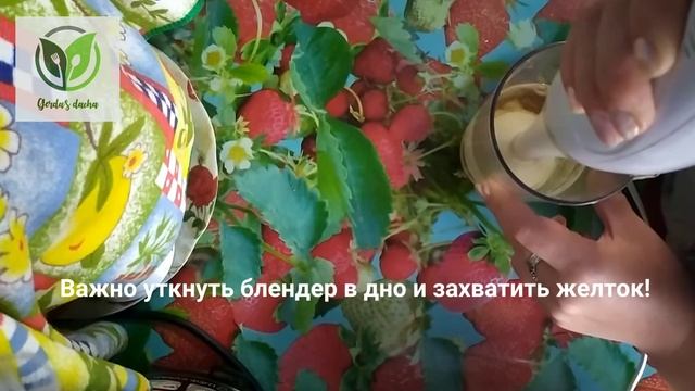 Майонез дома.Быстро, легко!