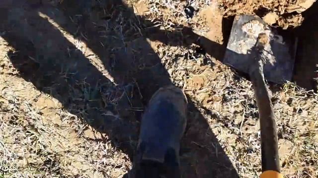 Поиск монет и железа 2022 с Фишером Ф75 смотреть онлайн