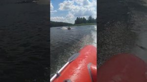 Тянем ватрушка на ПВХ ротан 410 и тохатсу 18