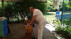 Вот такой мой майский мёд