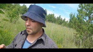 Открываем сезон, в лес по ягоды! Лесные ягоды земляника лесная ягода малина