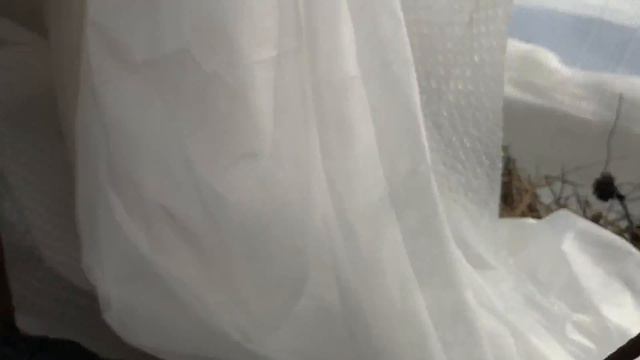 Моя Теплица 17 марта ( первые всходы , высаживаю томаты в грунт)