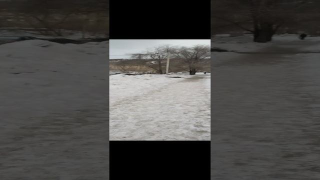 Миасс