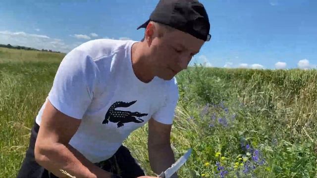 Рыбалка на трофейного карпа смотреть онлайн