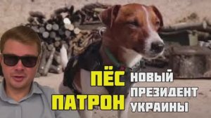 Приемником Зеленского на посту президента Украины станет пёс Патрон