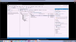 Visual Studio 2012 Version Control live Webcast Video