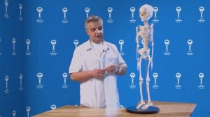 Измерение длины ног у ребенка. Советы родителям - Союз педиатров России.