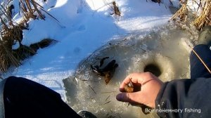 Ратан. Прокатились по озерам. Половили, посмотрели какой Ратан ловится. Рыбалка в Омской области.