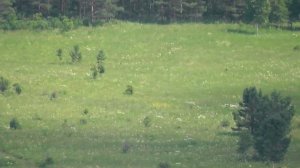 На горе Соколиный камень. Река Бердь. Красота Сибирской природы. Новосибирская область.