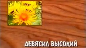 Валерий Бабурин Целебные растения и их применение 1