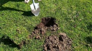 DETECTORISMO NA CHÁCARA ANTIGA (GAUDÉRIO DETECTORISMO)