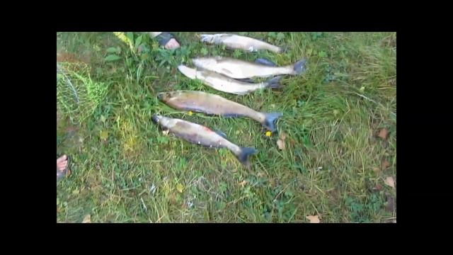 в Карелию 2013 год. смотреть онлайн