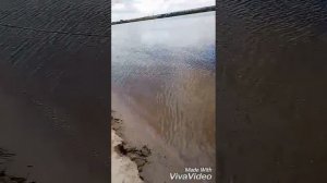 Рыбалка на о. Сарпинский г. Волгоград