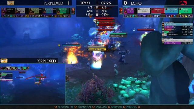 Perplexed vs Echo | Final | MDI Shadowlands Cup 2 смотреть онлайн