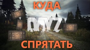 Dayz