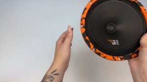 Распаковка динамиков DL Audio Gryphon Pro 200