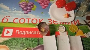 Сеем перцы на рассаду от А до Я.