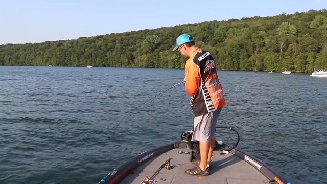 Garmin Panoptix Livescope For Perch смотреть онлайн