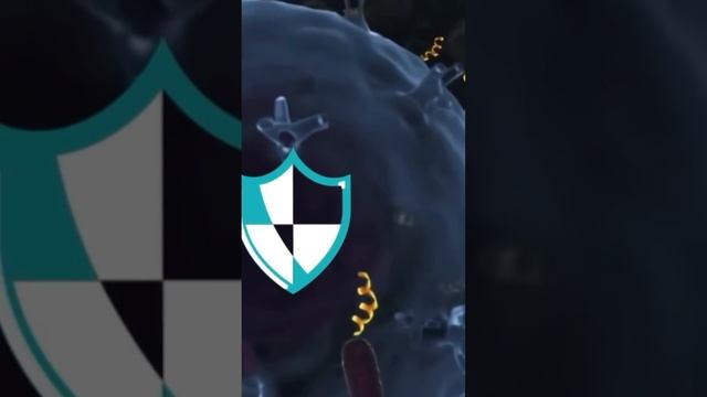 Вот почему нельзя есть яблоки смотреть онлайн