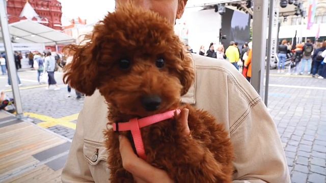 «Альпина» на Красной площади в июне 2023 смотреть онлайн