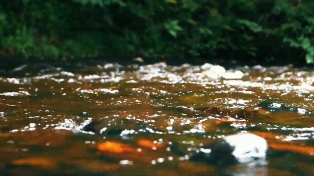 "Сказка на ночь" ВАЖНО! КАЖДЫЙ ДЕНЬ В ТЕЧЕНИЕ 10 МИНУТ... смотреть онлайн