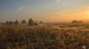 Пейзаж   поэтическая и музыкальная живопись